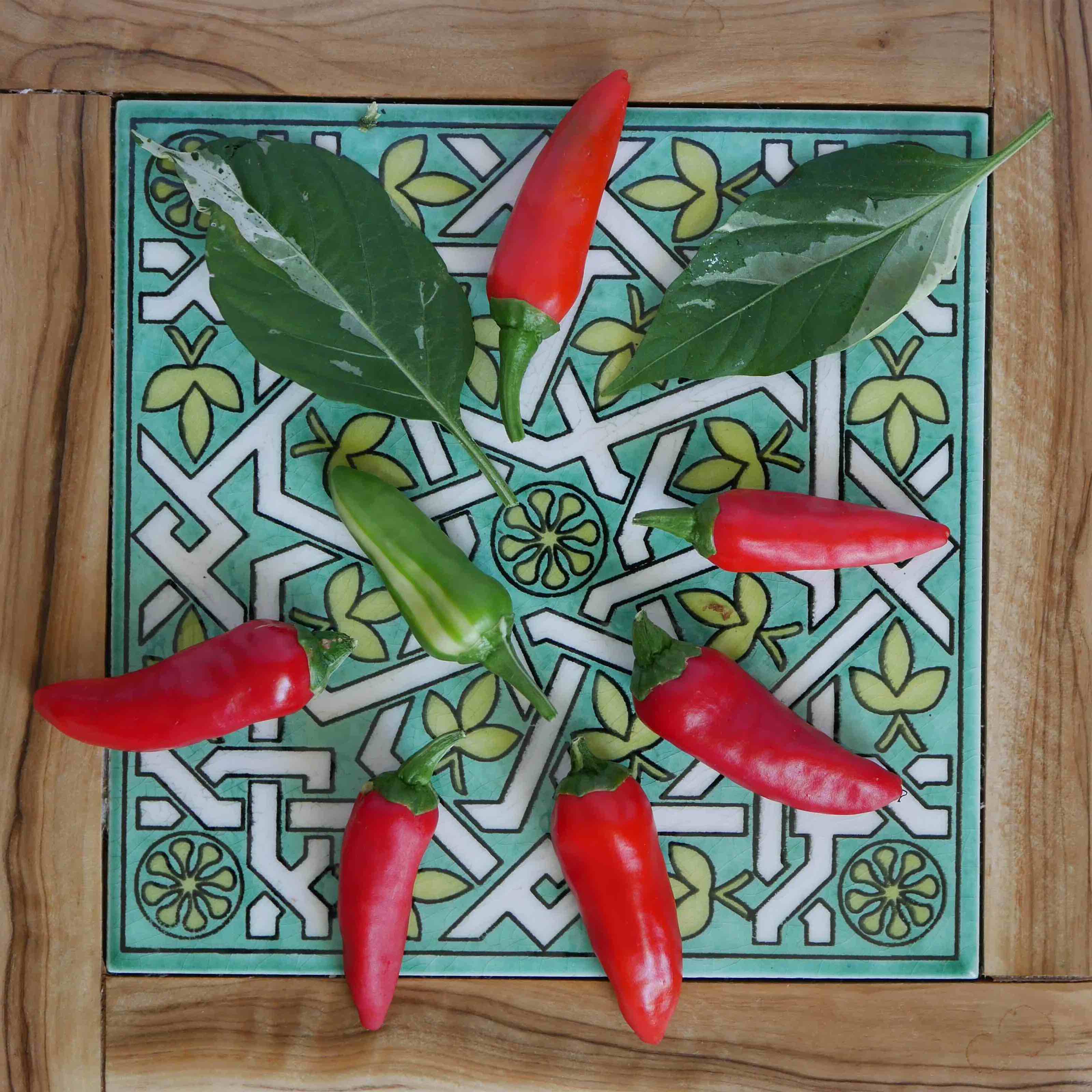 Fish pepper chili