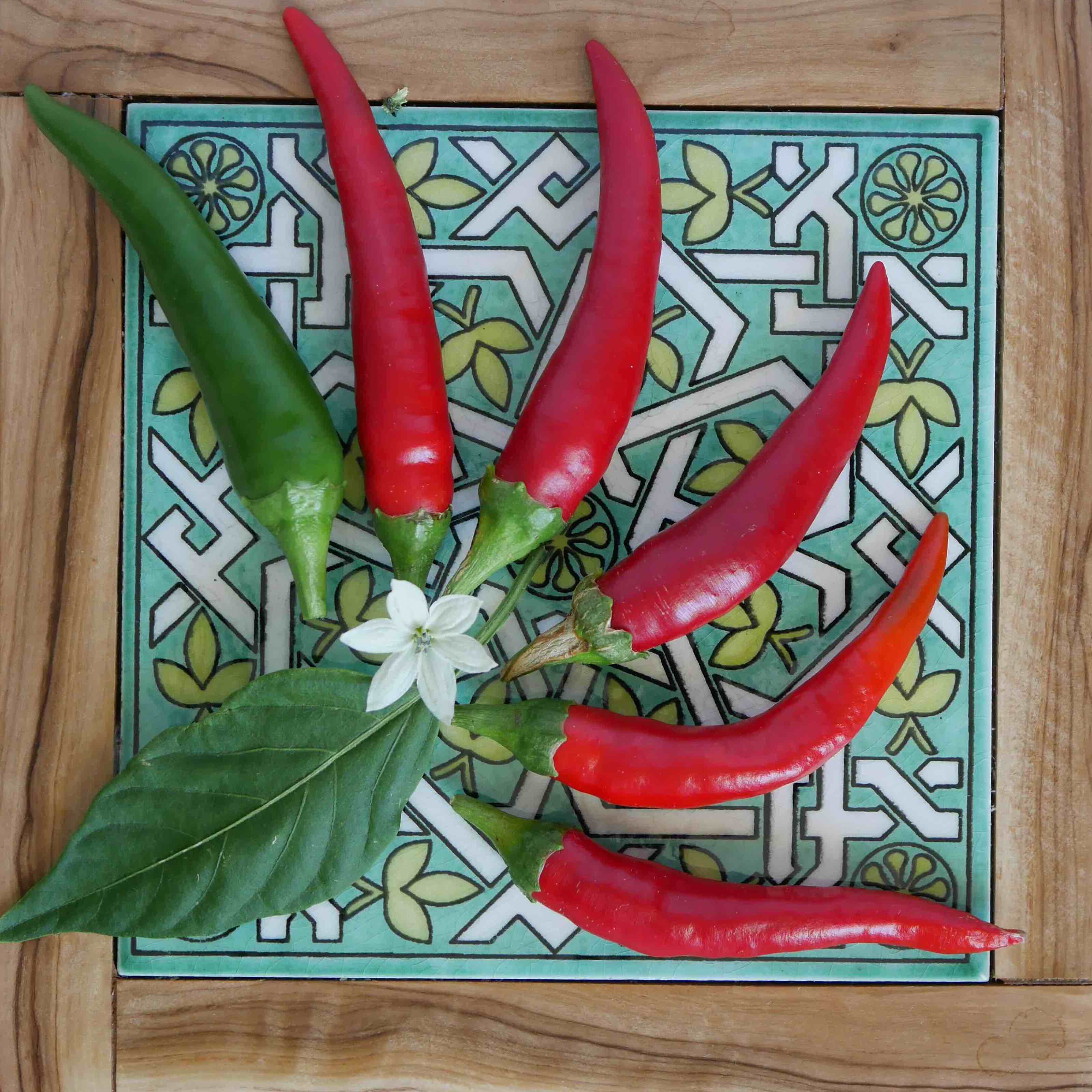 Cayenne chili
